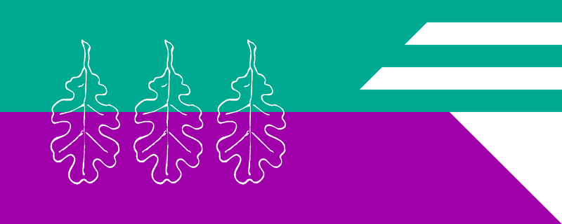 File:KabazatFlag.png