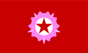 ÇaigoŋFlag.png